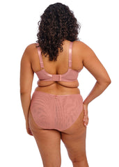 Elomi | Teagan High Leg Brief | Ash Rose