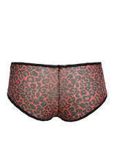 Gossard | Glossies Leopard Short