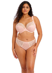 Elomi | Lucie High Leg Brief | Blush