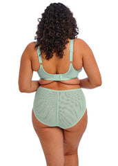 Elomi | Brianna Padded Half Cup | Frozen