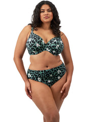 Elomi | Jungle Bay Mid Rise Bikini Brief | Olive