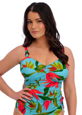 Fantasie | Pichola Tankini | Aqua