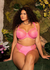 Elomi | Matilda Plunge Bra | Wild Cherry