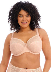 Elomi | Morgan Bra | Cameo