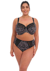 Elomi | Morgan Brief | Serengeti