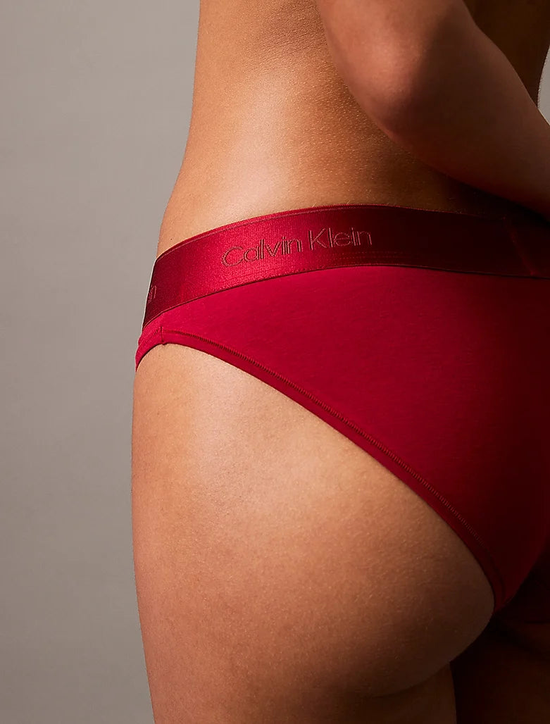 Calvin Klein | Modern Cotton Brief | Juneberry