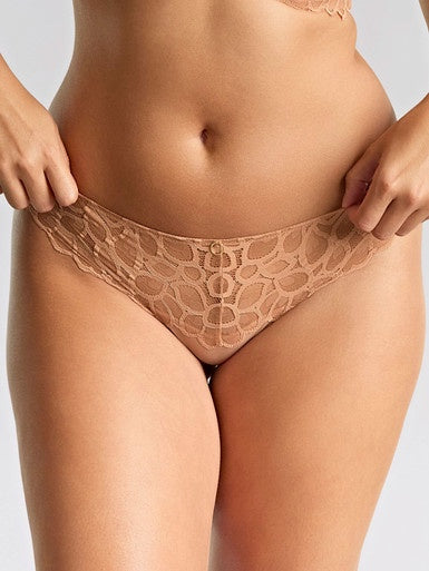 Panache | Allure Thong | Honey