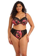 Elomi | Morgan High Leg Brief | Hot House