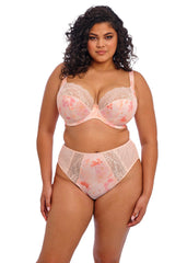 Elomi | Lucie High Leg Brief | Cosmos