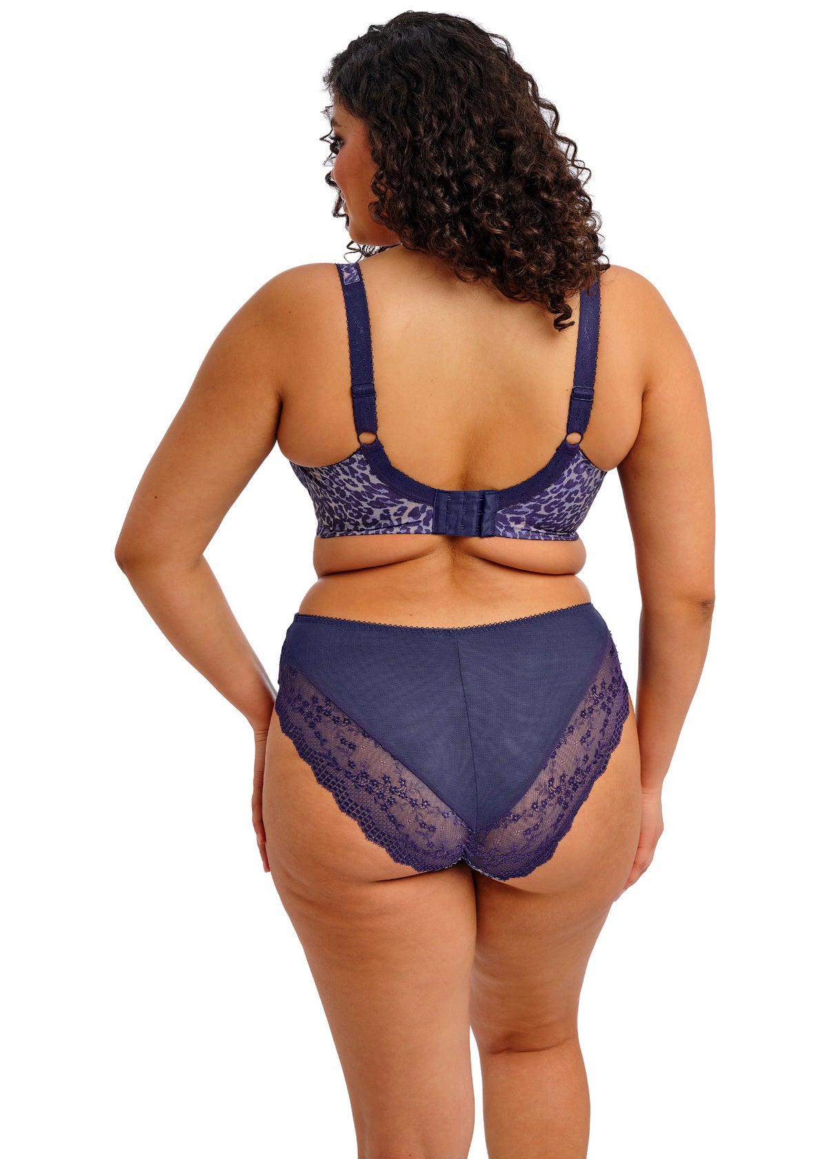 Elomi | Lucie High Leg Brief | Midnight