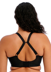 Elomi | Energise Sports | Black