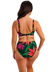 Fantasie | Pichola Mid Rise Bikini Brief | Mangrove