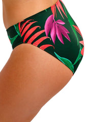 Fantasie | Pichola Mid Rise Bikini Brief | Mangrove