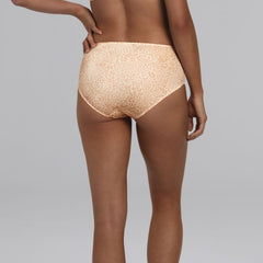 Anita | Joy High Waist Brief | Smart Rose