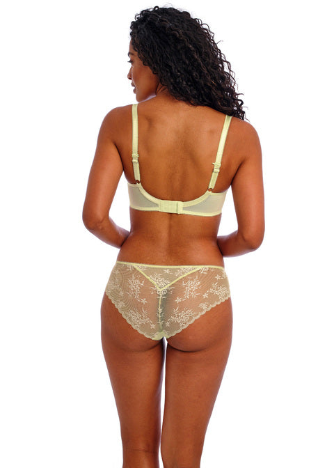 Freya | Decadence Brief | Key Lime