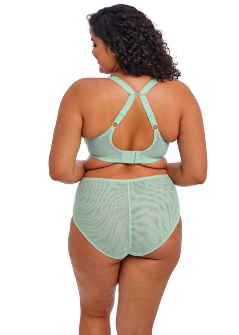Elomi | Brianna Padded Half Cup | Frozen
