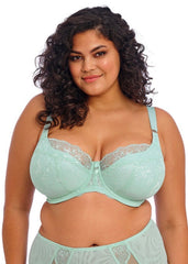 Elomi | Brianna Padded Half Cup | Frozen