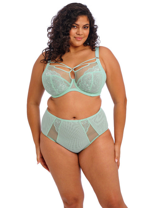 Elomi | Brianna Full Brief | Frozen
