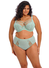 Elomi | Brianna Full Brief | Frozen