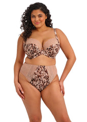 Elomi | Lucie Plunge Bra | Wildcat