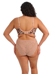 Elomi | Lucie High Leg Brief | Wildcat