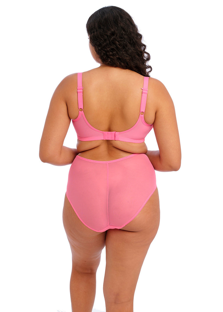 Elomi | Matilda Deep Brief | Wild Cherry