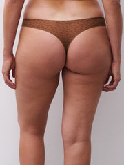 Chantelle | Thong | Wild Brown