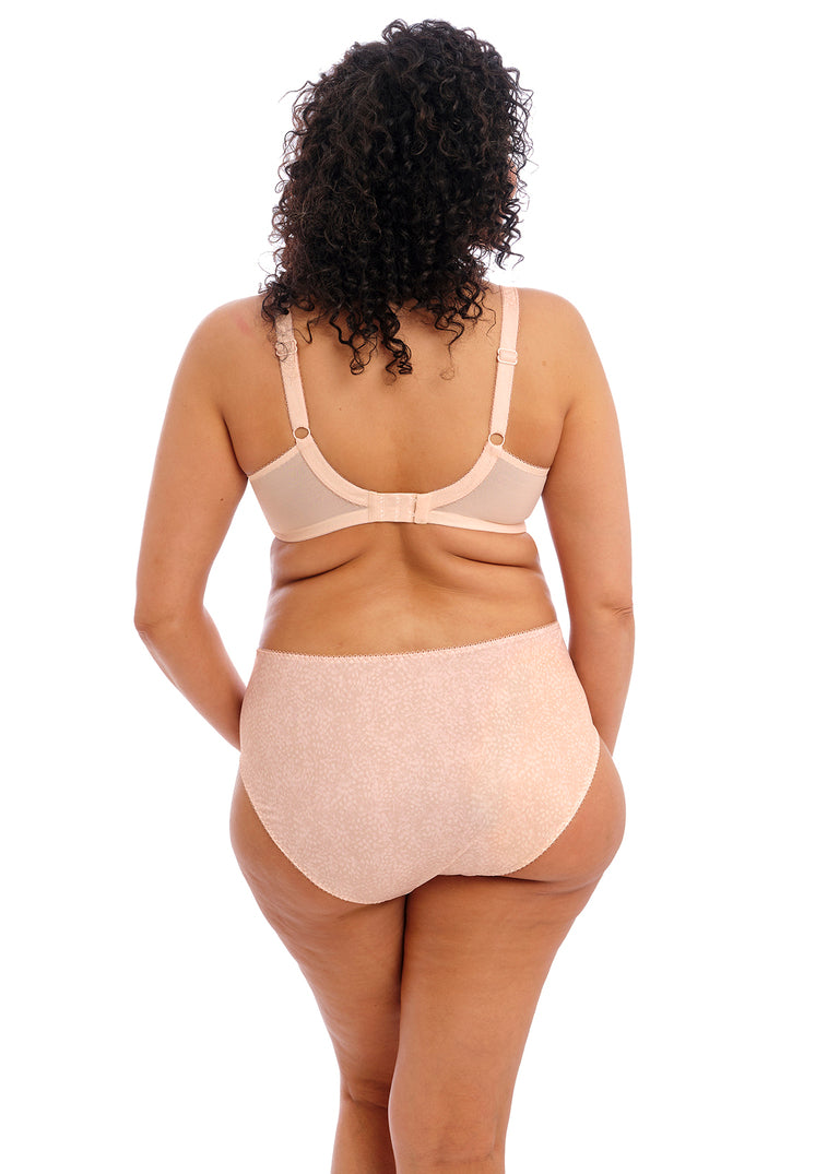 Elomi | Morgan Brief | Cameo